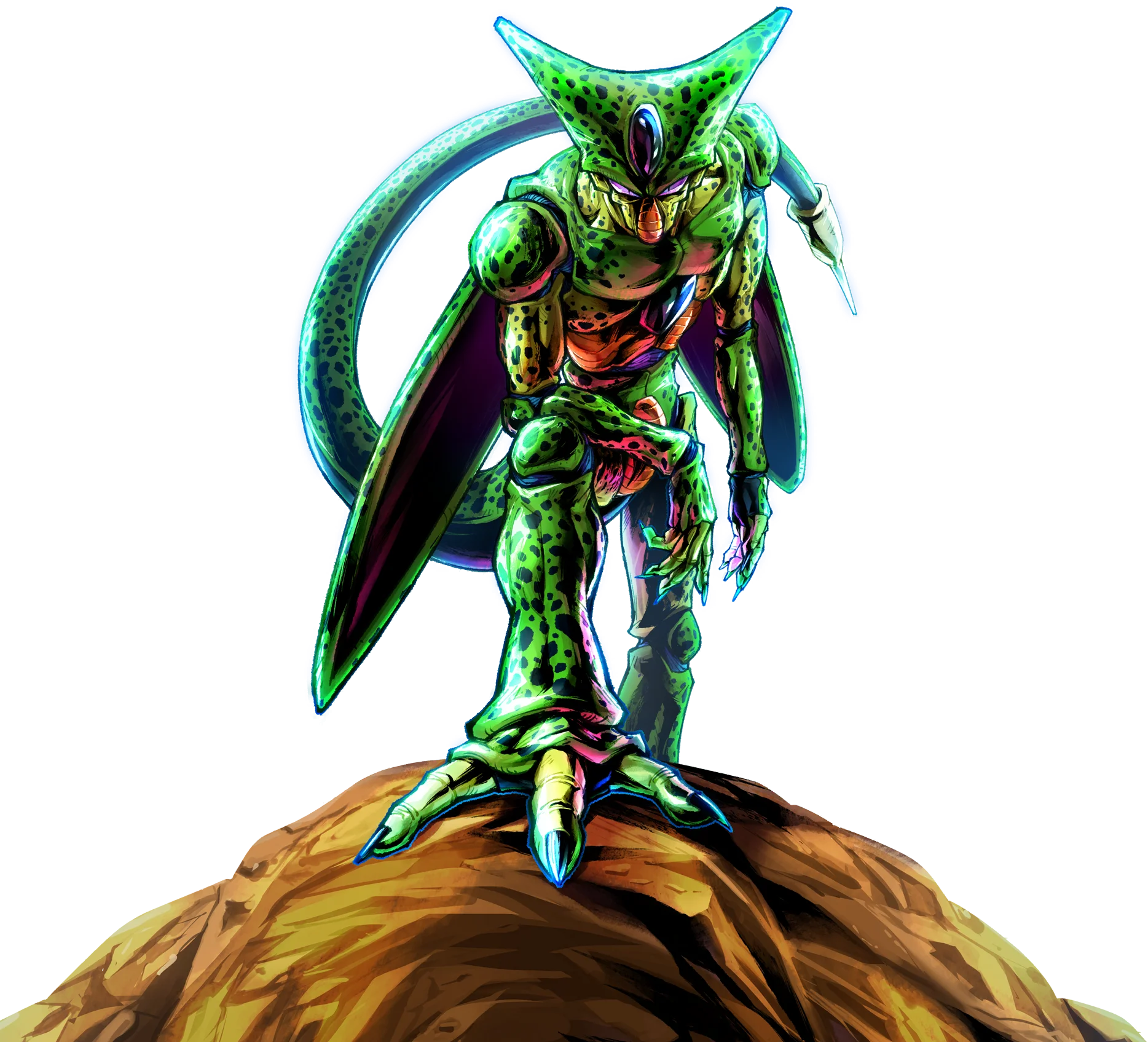 1st Form Cell