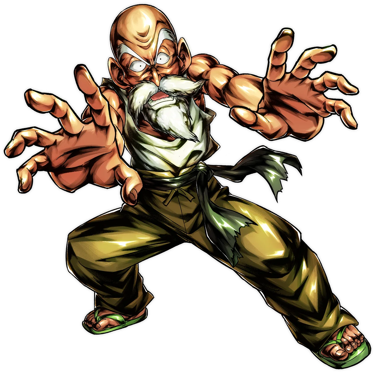 Master Roshi
