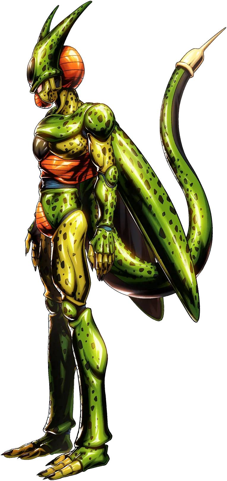 1st Form Cell
