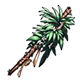 Tropic Branch