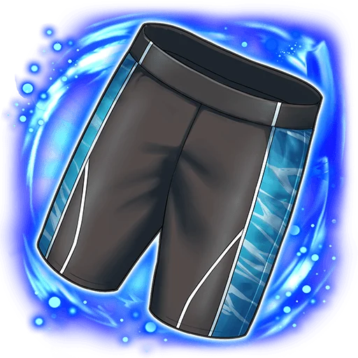 Company-Issued Trunks L