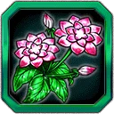 Oracle Flower