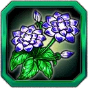 Oracle Flower