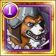 Dogstorm