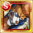 Dogstorm