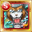 Dogstorm: King of the Day Dogstorm: King of the Day