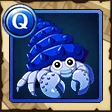 Blue Hermit Crab