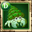 Green Hermit Crab Green Hermit Crab