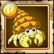 Yellow Hermit Crab Yellow Hermit Crab