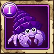 Black Hermit Crab Black Hermit Crab