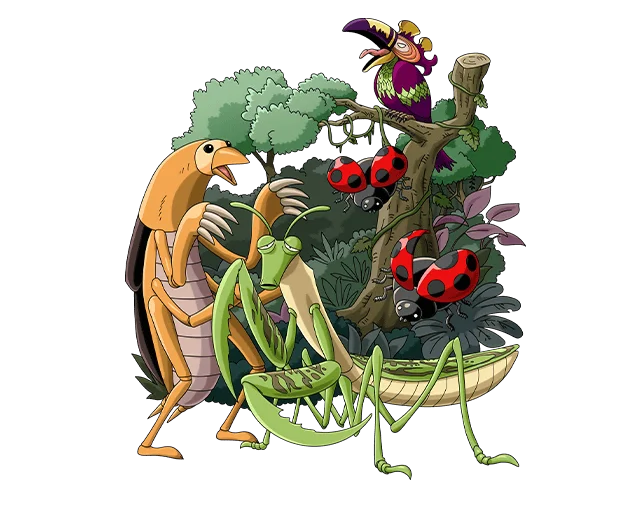 South Bird and Forest Residents