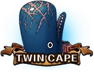 Twin Cape