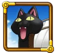 Bezan Black
