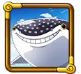 Whale Sharks